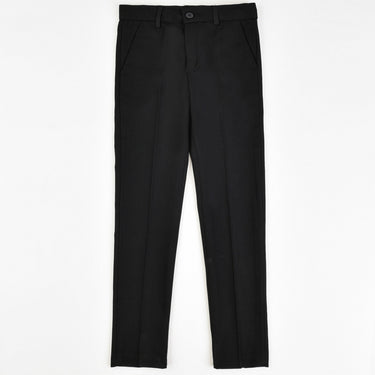 TR Regular Fit Dressy Pants